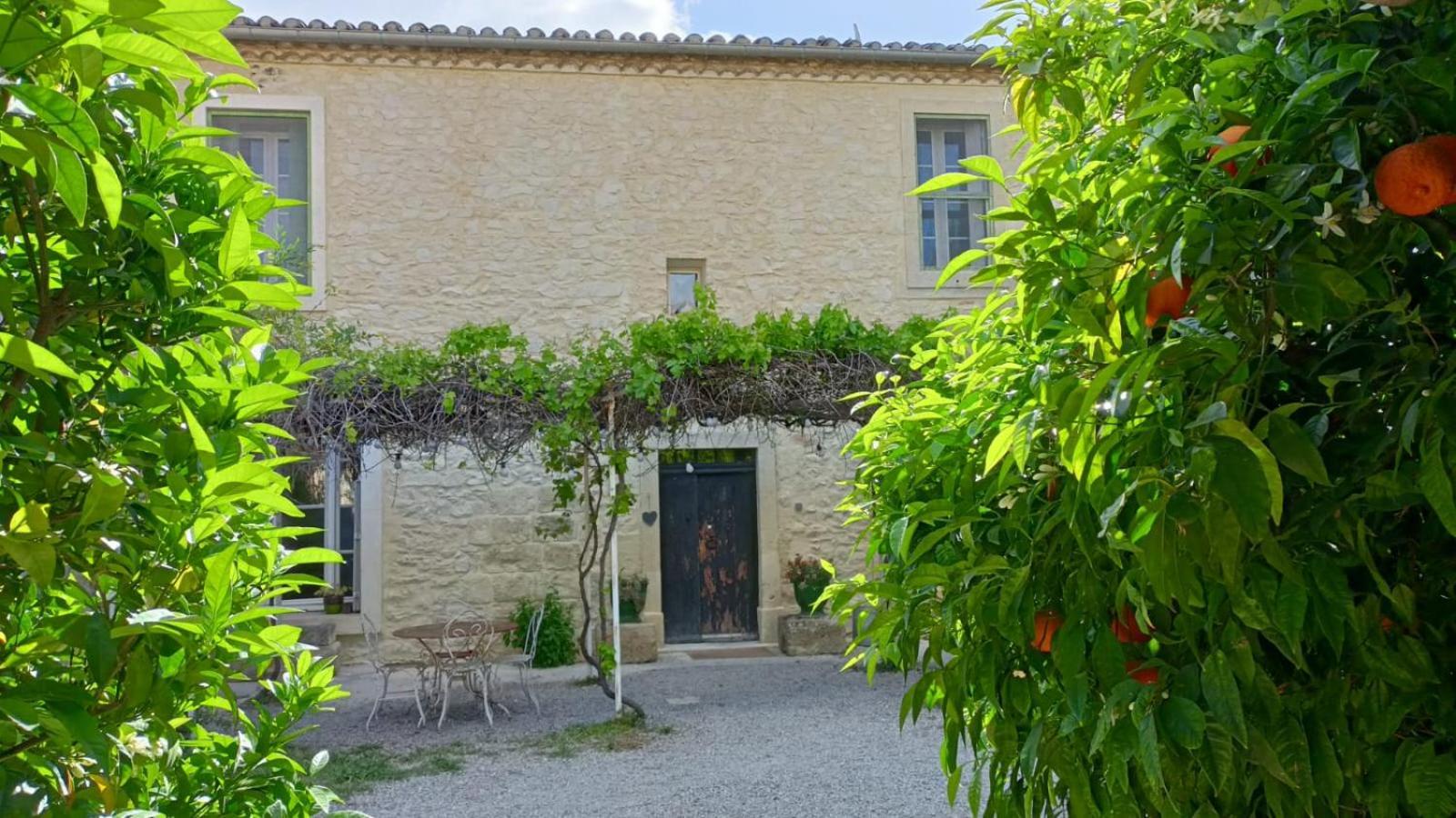 Villa La Taniere 16 Couchages Vergèze Exterior foto